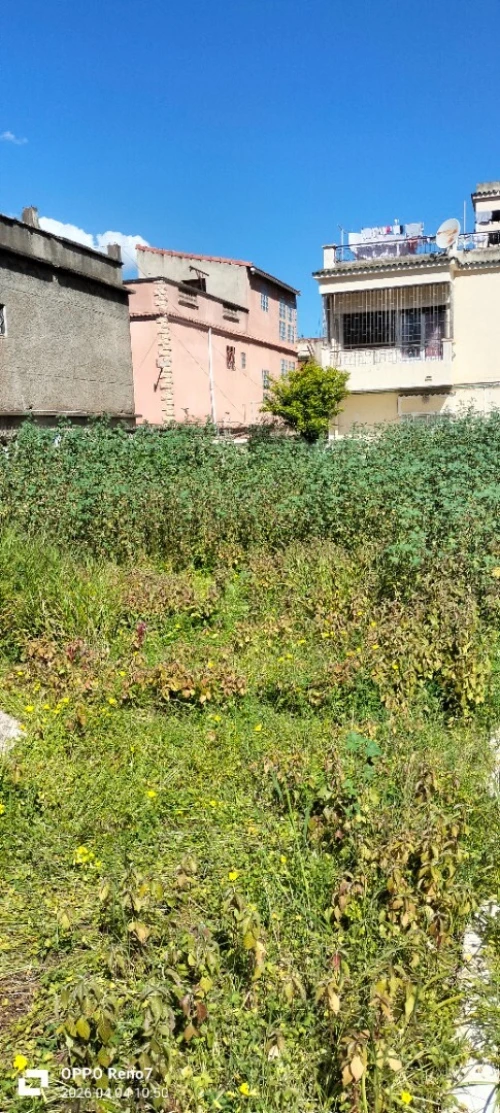 Vente Terrain Alger Birkhadem