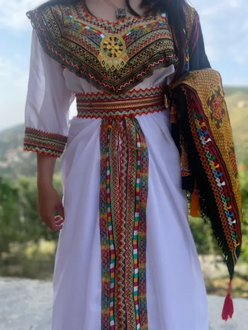 draa el mizan tizo ouzou