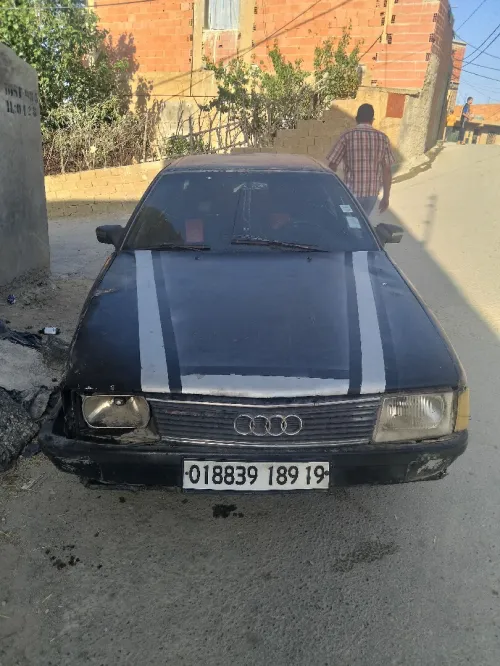 Audi 100 1989 100