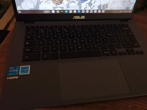 Asus chromebook plus cx3402 