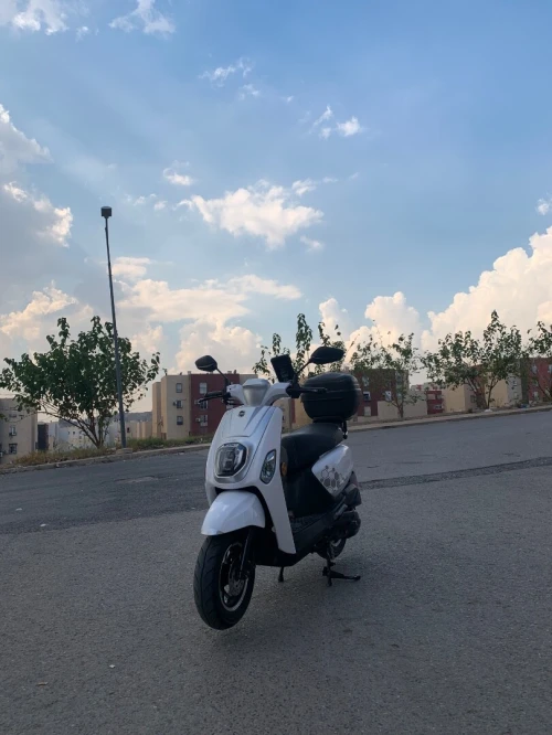vms estate x 2025