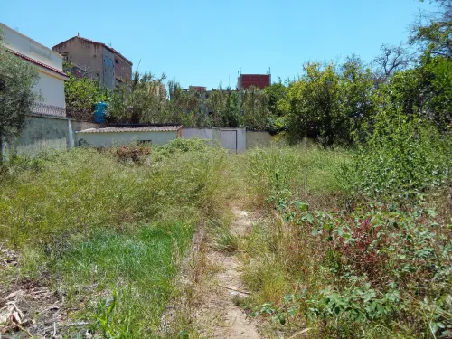 Vente Terrain Alger Birkhadem