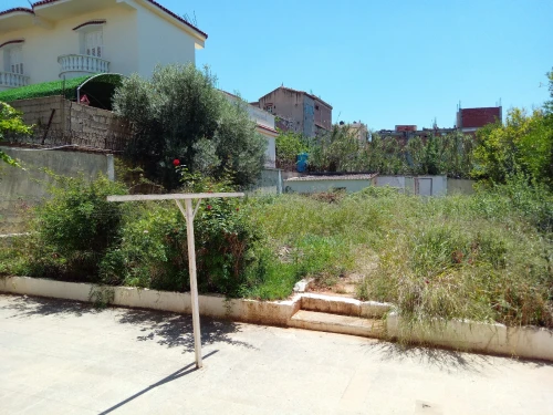 Vente Terrain Alger Birkhadem
