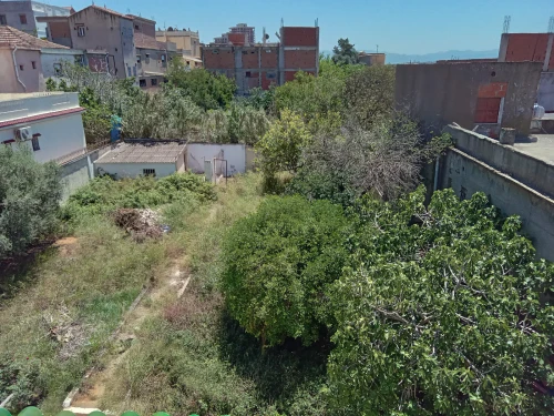 Vente Terrain Alger Birkhadem
