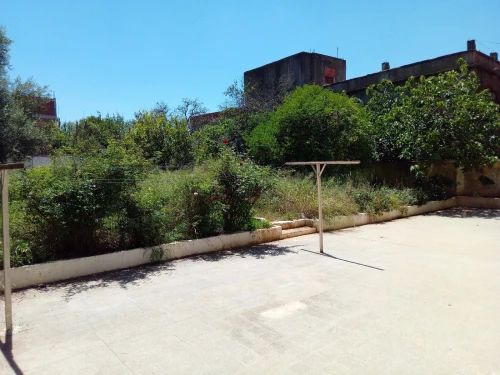 Vente Terrain Alger Birkhadem
