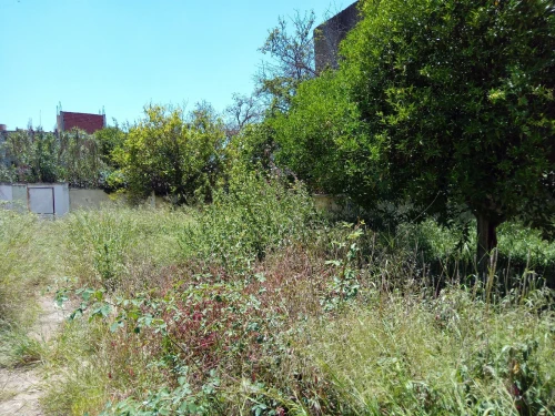 Vente Terrain Alger Birkhadem