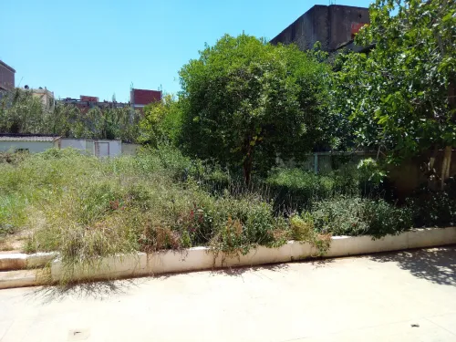 Vente Terrain Alger Birkhadem