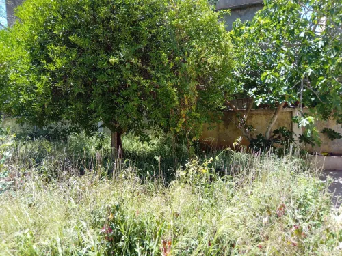 Vente Terrain Alger Birkhadem