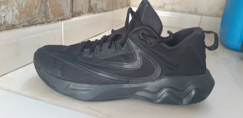 Nike giannis