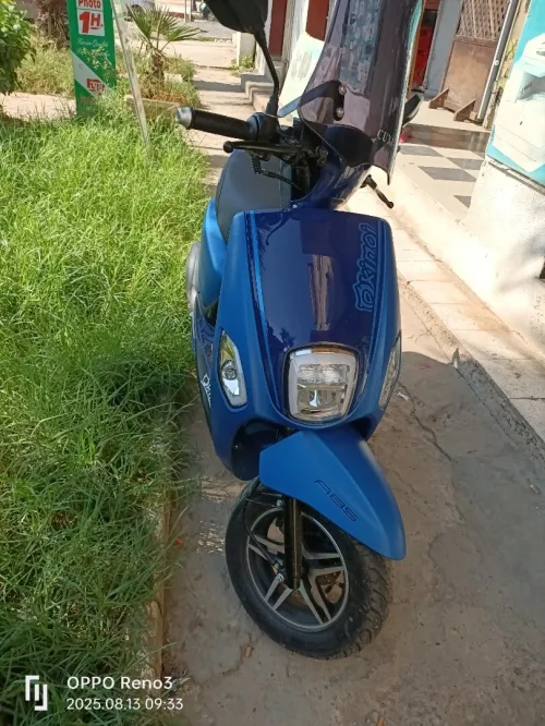 Couxi Okinoi 2025