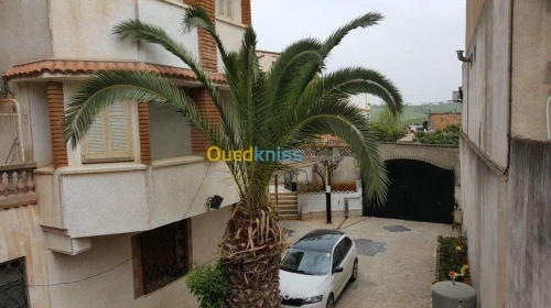 Vente Villa Alger Ouled fayet
