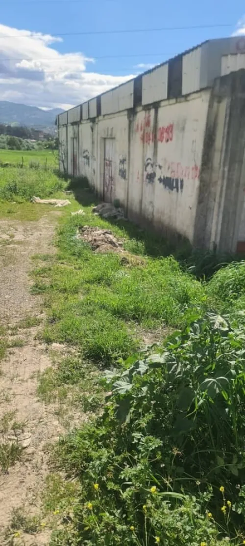 Location Local Tizi Ouzou Tadmait