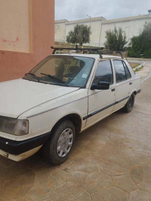 Peugeot 309 1992 309
