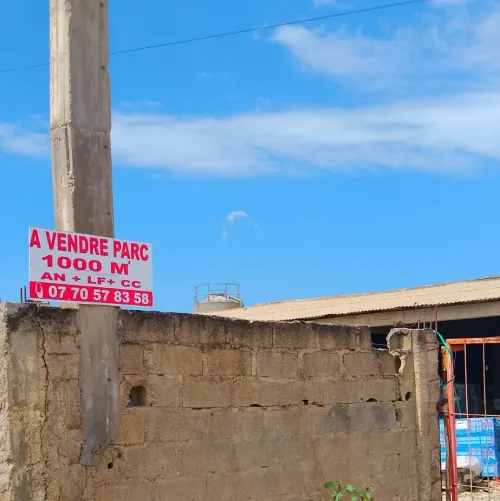 Vente Hangar Skikda Collo