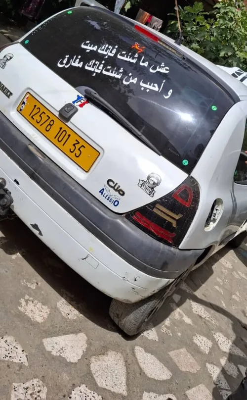 Renelt Clio 2001 