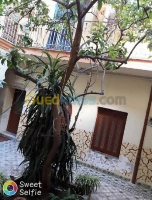 Vente Villa Blida Blida