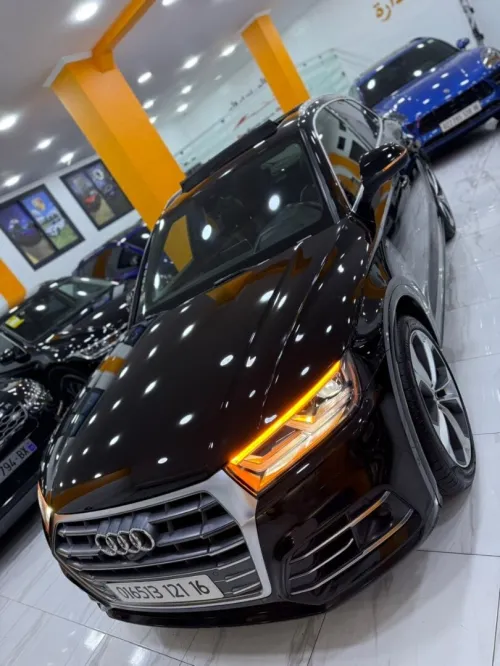 Audi Q5 salin 2021 Sline