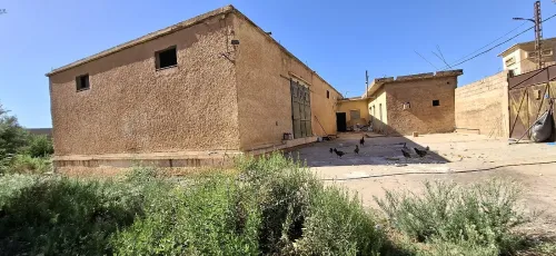 Vente Terrain Tlemcen Hennaya
