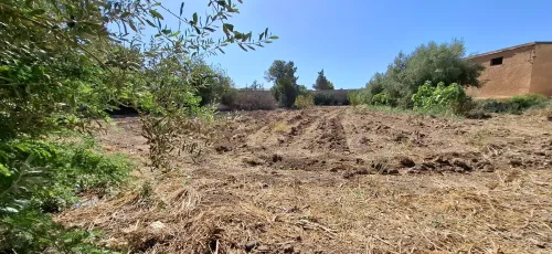 Vente Terrain Tlemcen Hennaya
