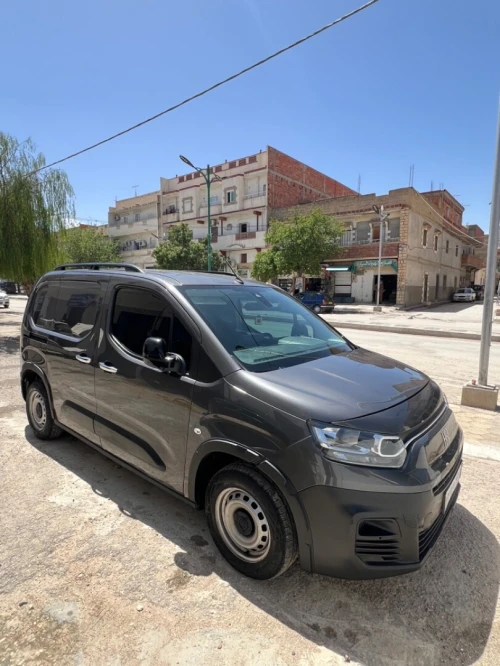 Fiat Doblo 2023 Doblo