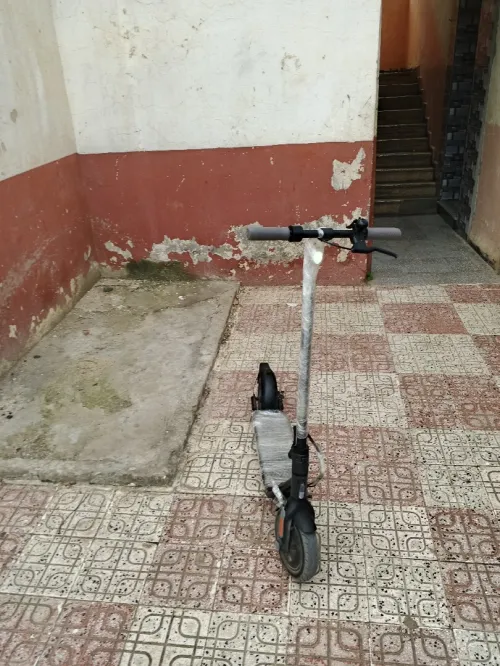 Scooter ninbet
