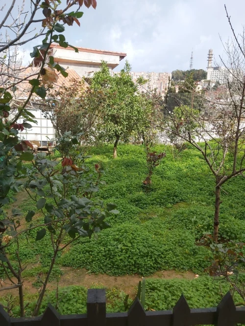 Vente Appartement F4 Alger Bouzareah
