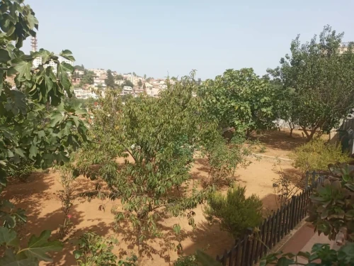 Vente Appartement F4 Alger Bouzareah