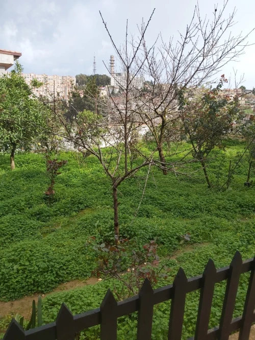 Vente Appartement F4 Alger Bouzareah
