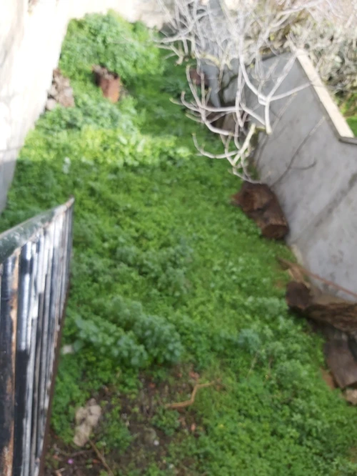 Vente Appartement F4 Alger Bouzareah