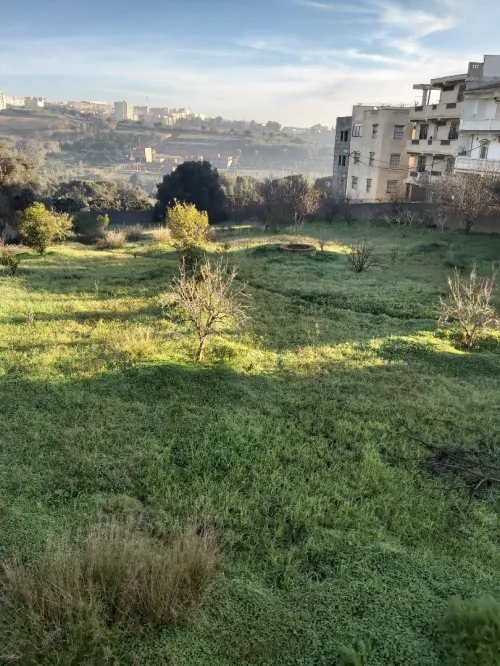 Vente Terrain Tipaza Kolea