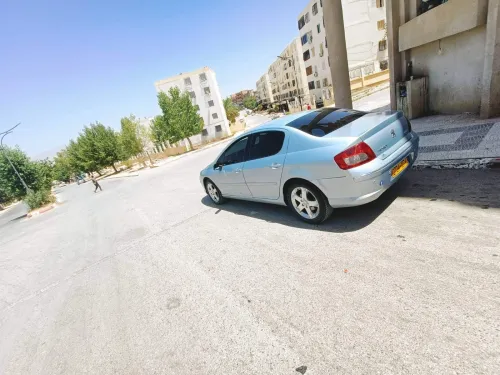 Peugeot 407 2007 407