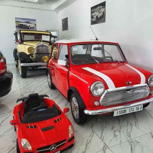 Mini Austin 1974 1000ls