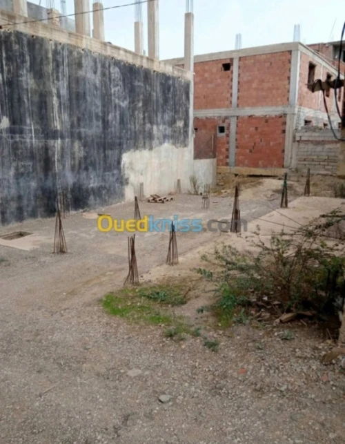 Vente Terrain Boumerdès Ouled moussa