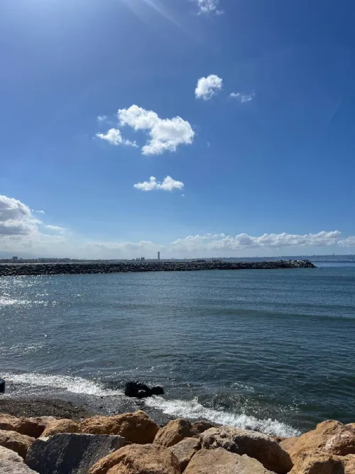 Vente Local Alger Bordj el kiffan