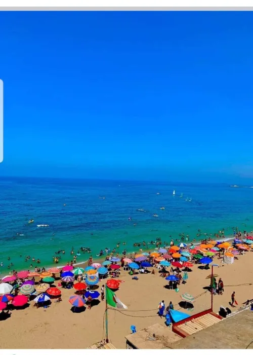 Location Appartement F3 Alger Ain taya