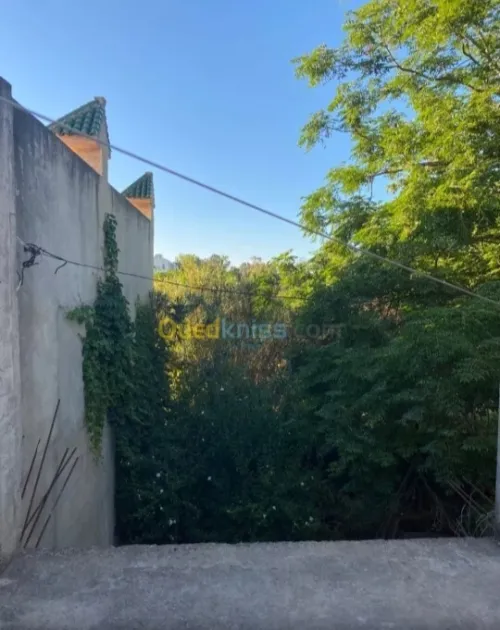 Vente Villa Alger Oued smar