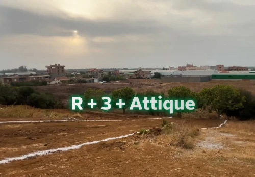 Vente Terrain Boumerdès Ouled moussa