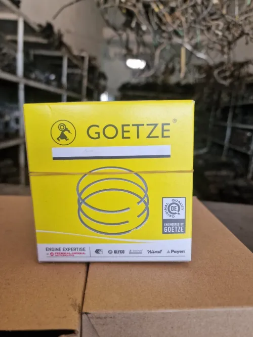 Sigment goetze 1.6HDI 