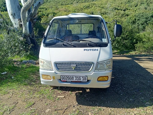 FOTON 1028 2010