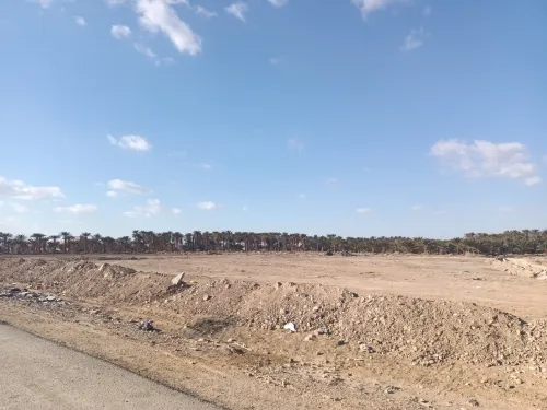 Vente Terrain Biskra Biskra