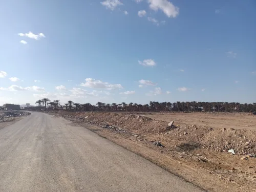 Vente Terrain Biskra Biskra