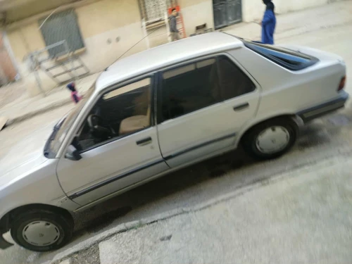 Peugeot 309 1987 309
