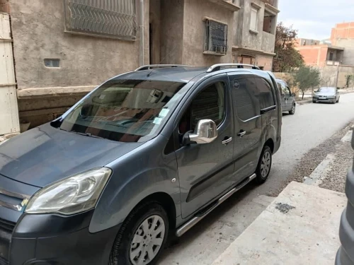 Citroen Berlingo 2009 Berlingo