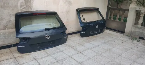 Deux mâles Tiguan 