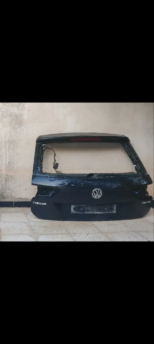 Deux mâles Tiguan 