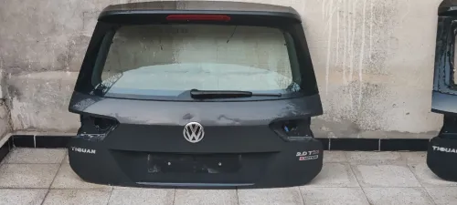 Deux mâles Tiguan 