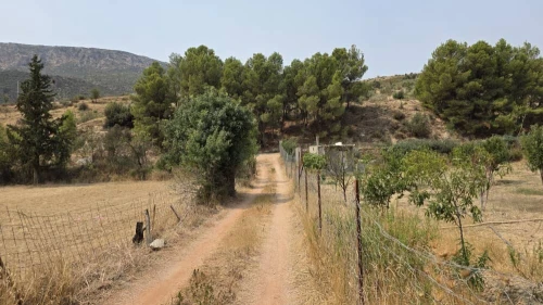 Vente Terrain Sétif Hammam guergour