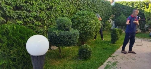  Nettoyage jardin et désherbage 