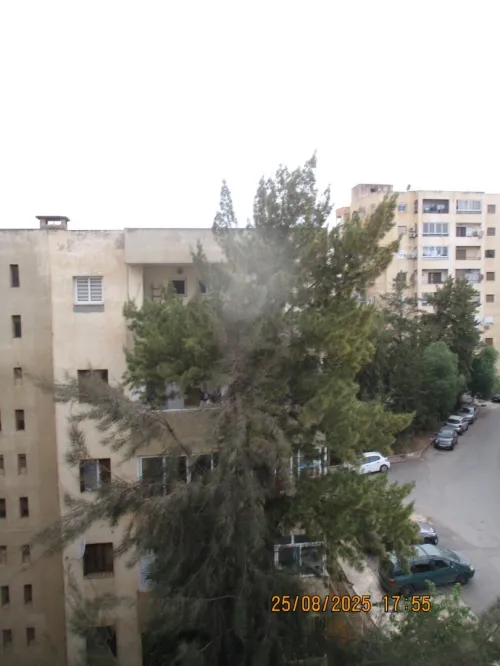 Vente Appartement F4 Alger Kouba