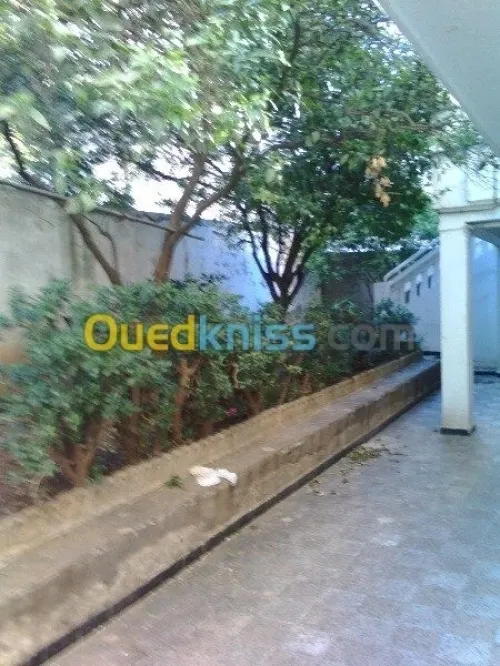 Vente Villa Alger Hydra